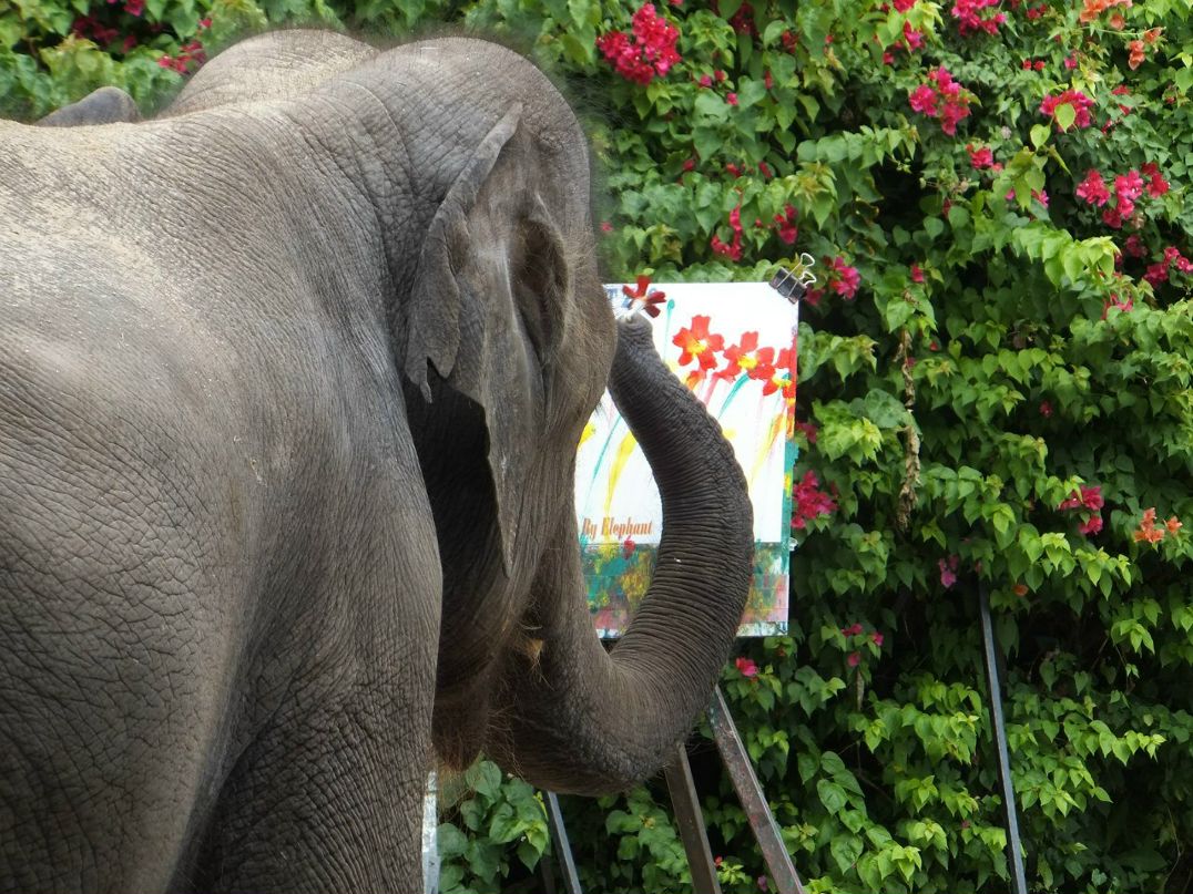 Alina Baganova | Дубна