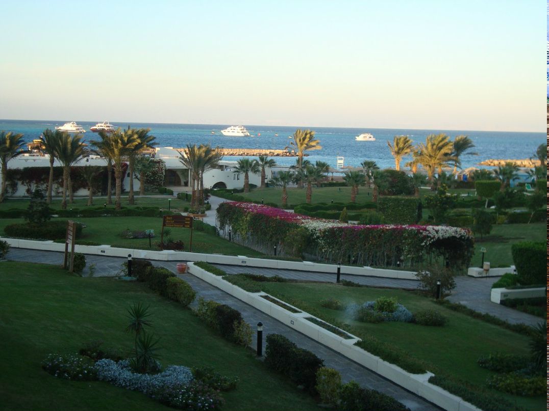 Ирина Савельева | Санкт-Петербург