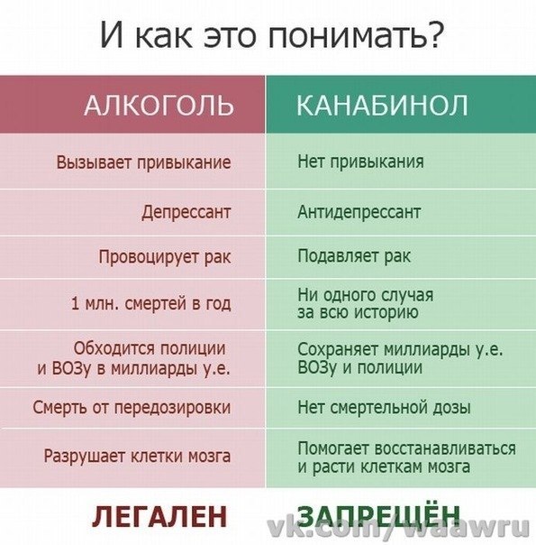 Очарованный Кварк °•ૐ•° | Москва