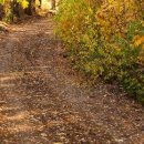 №33, Олег Водинов, Череповец №33, Олег Водинов, Череповец