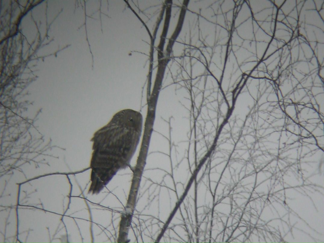 Павел Швецов В@рВ@Р | Санкт-Петербург
