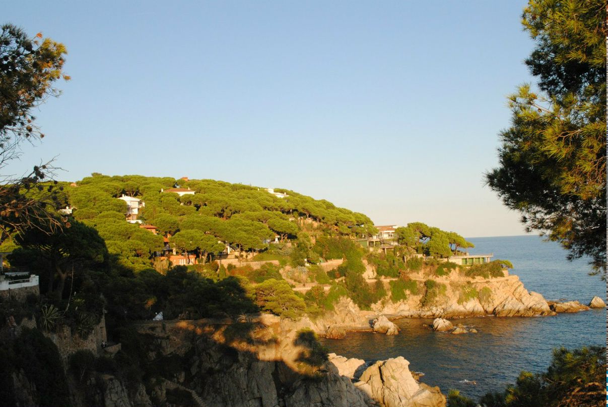 Екатерина Коваль | Санкт-Петербург