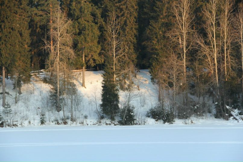 Ирина Кузьмина | Тихвин