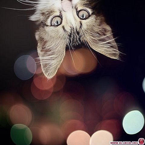 Татьяна Боброва | Каланчак