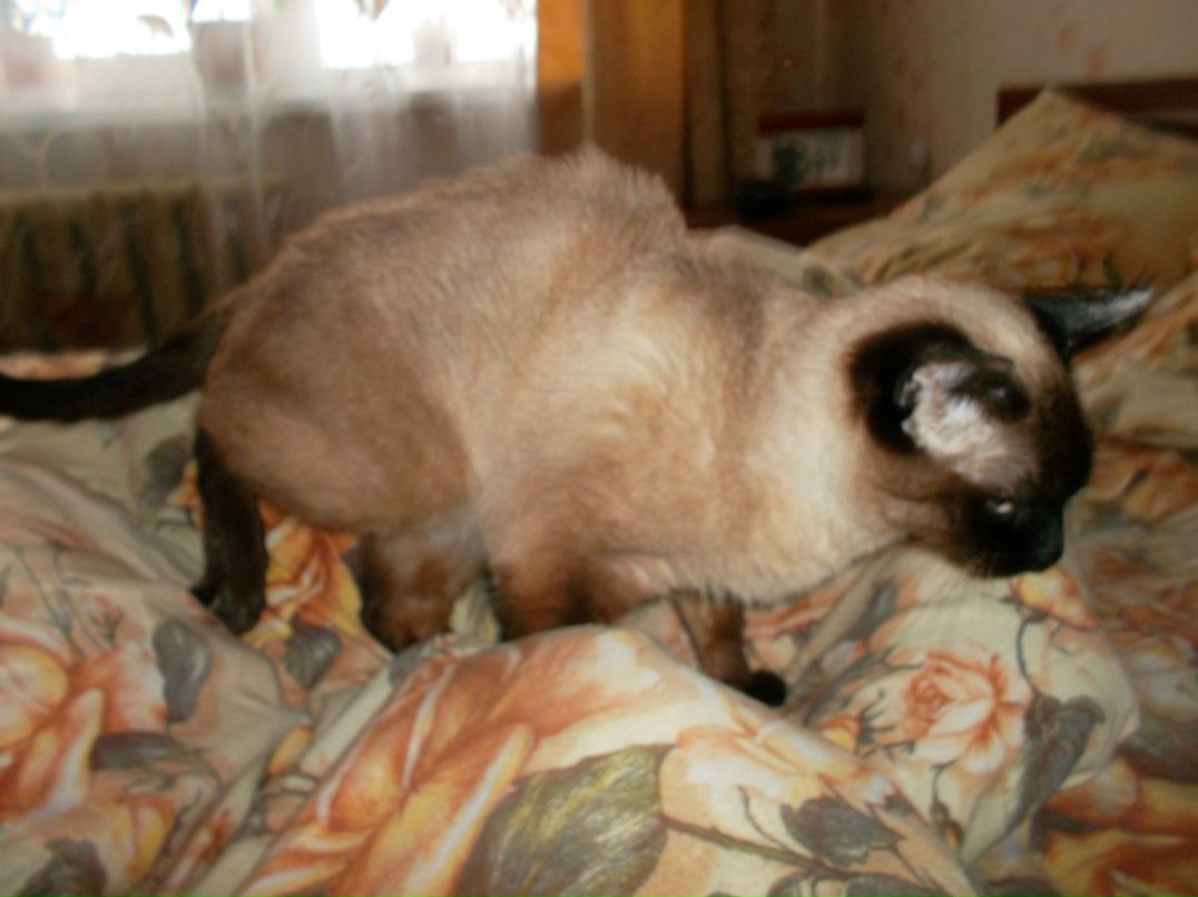 Наталья Апполинарьева | Валдай