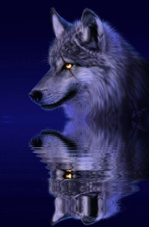 Александр Третьяков | Кондопога