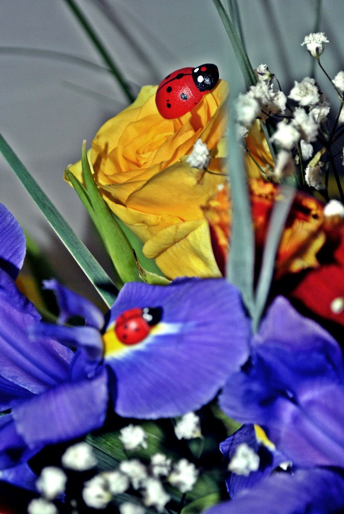 Таня Дем'яненко | 