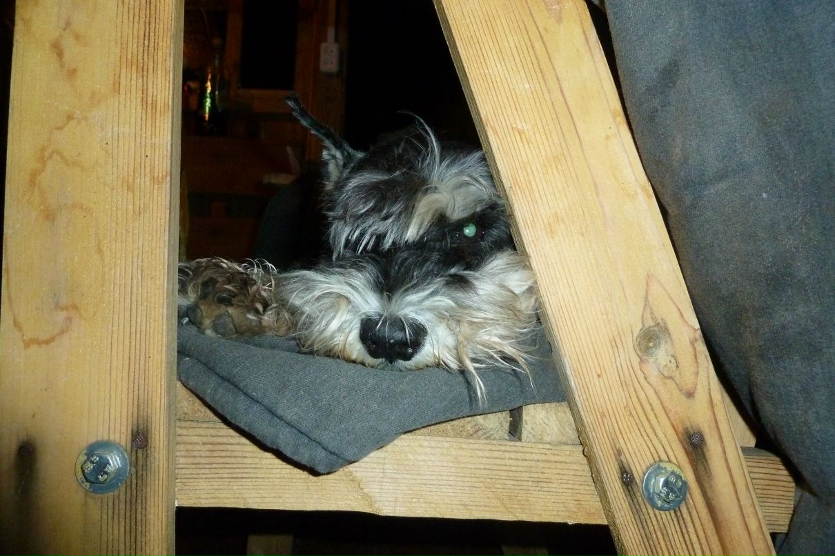 Николь Браун | Дзержинск