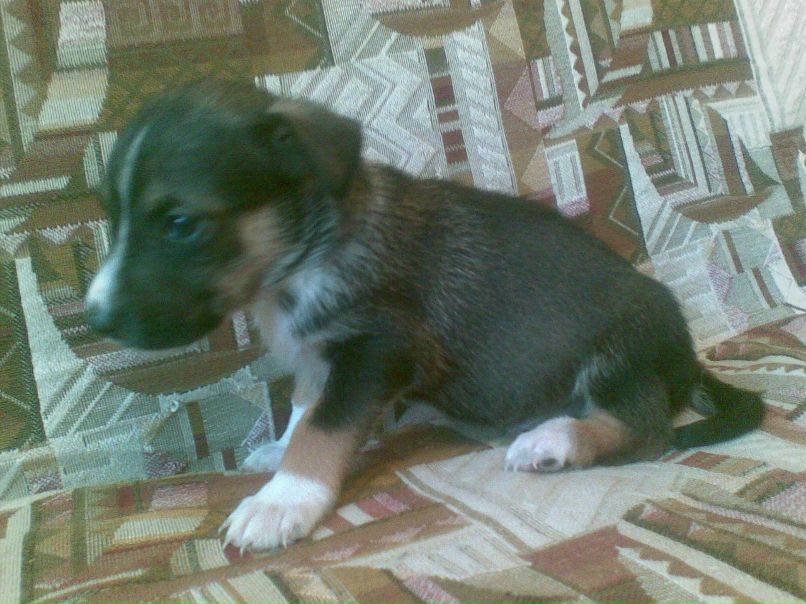 Василий Рожков | Кубинка