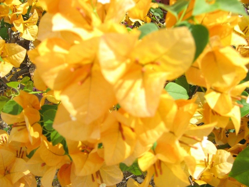 Татьяна Андреева | Красноярск