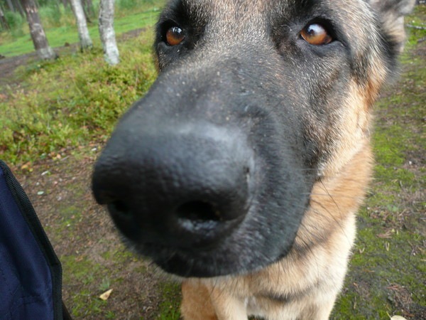 №21, Виталий Александрович, 40 лет, Подольск (село) №21, Виталий Александрович, 40 лет, Подольск (село)