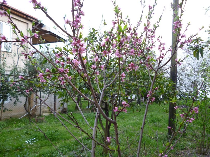 Сергей Непочатые и_Ирина | 