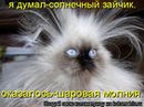 Фотография Валерия Короленко