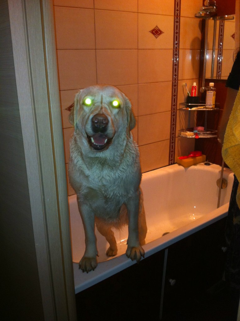 Светлана Хрипкова | Москва