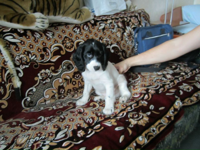 Валентина Свешникова | Ульяновск