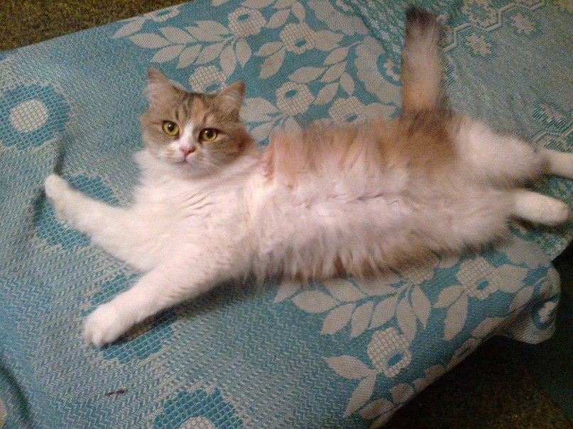 Таничка Соляник | Одесса