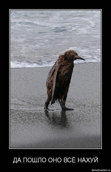 Максим Мажоров | Москва