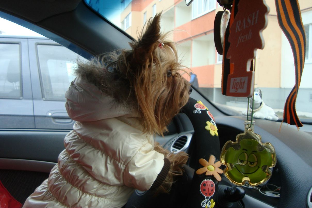 Ольга Баранова нескажу | Санкт-Петербург