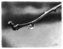 Фотография Омелиной Марины