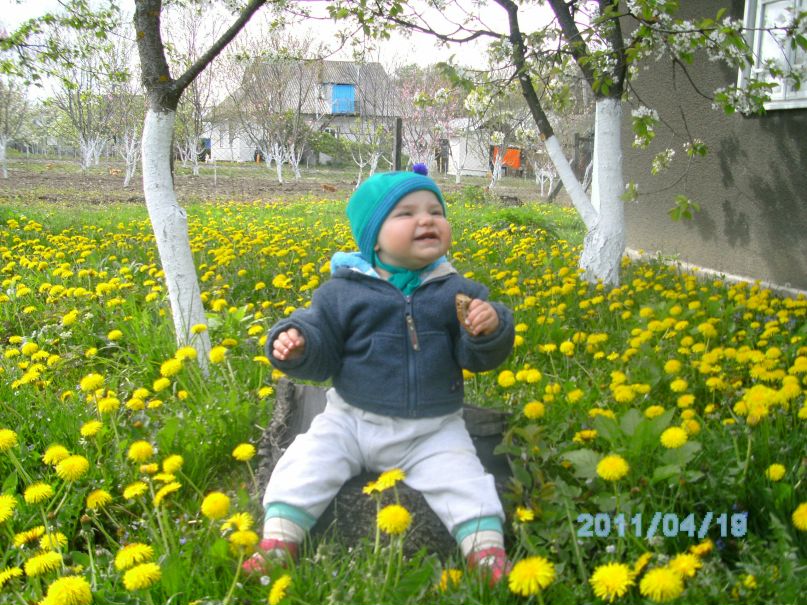 Олег Паладійчук | Черновцы