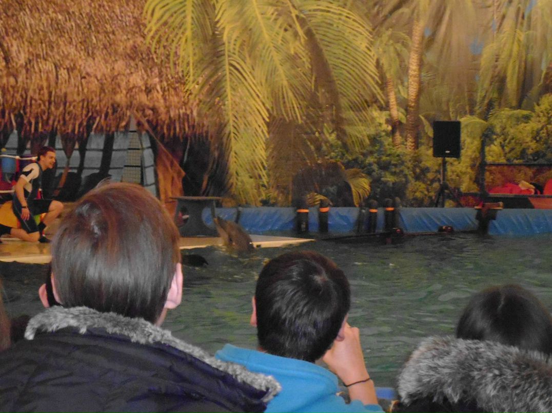 Светлана Шагиахметова | Хворостянка