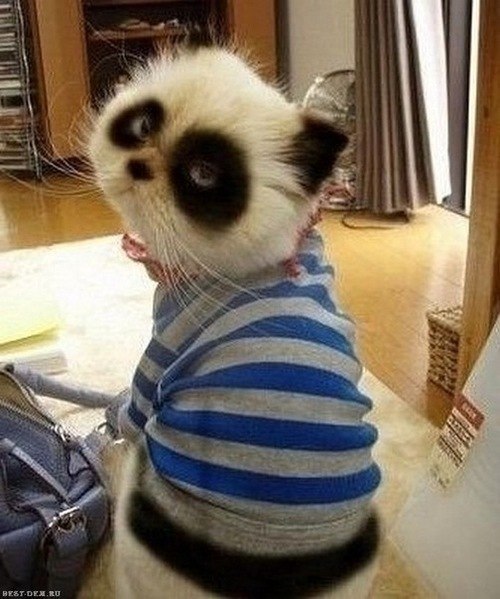 Сергей Зиповой | Киев