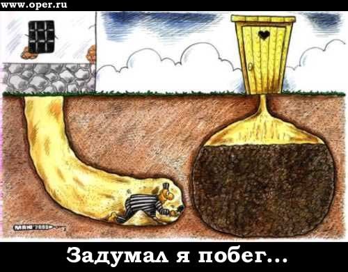 Миша Мальков | Ангарск