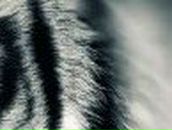 Лёха Гордеев | 