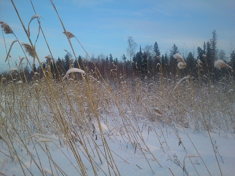 Александр Бугуртов | Стрежевой