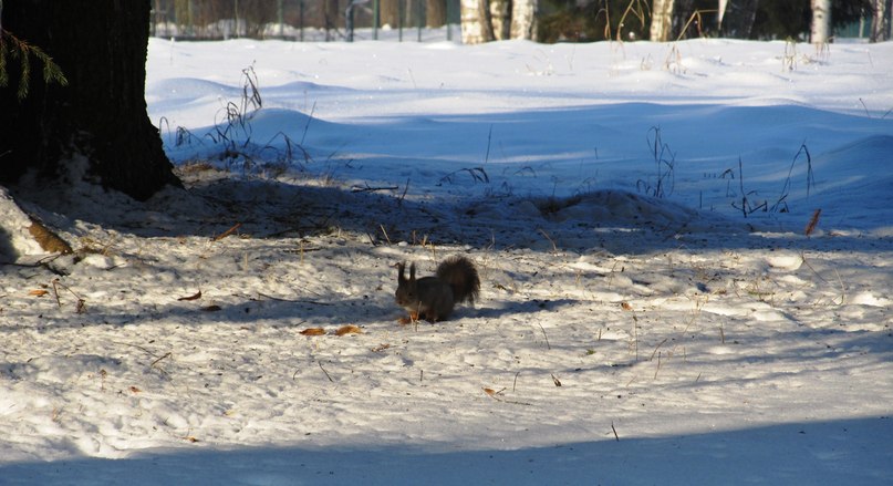 Валентина Любавина | Санкт-Петербург