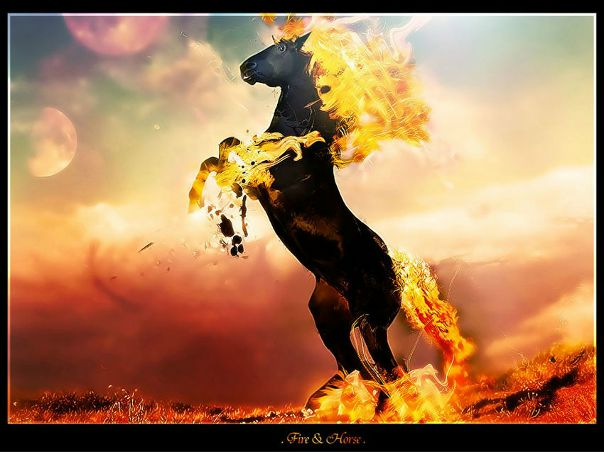 №192, Катерина Медведь, 25.07.1991, Одесса №192, Катерина Медведь, 25.07.1991, Одесса