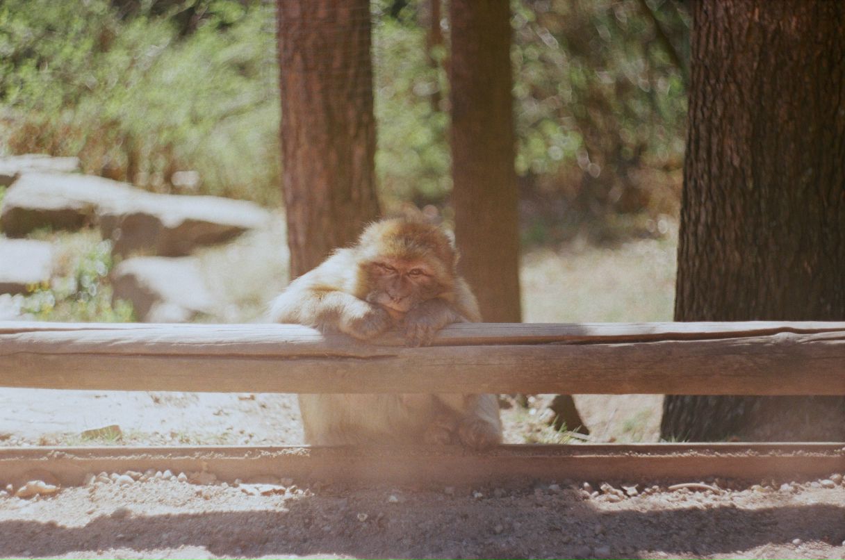 Станислав Андросов | Москва