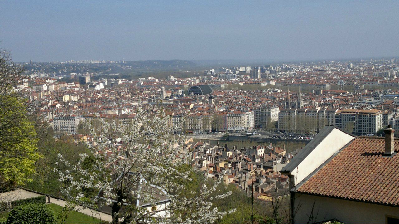 Петр Казарновский | Санкт-Петербург