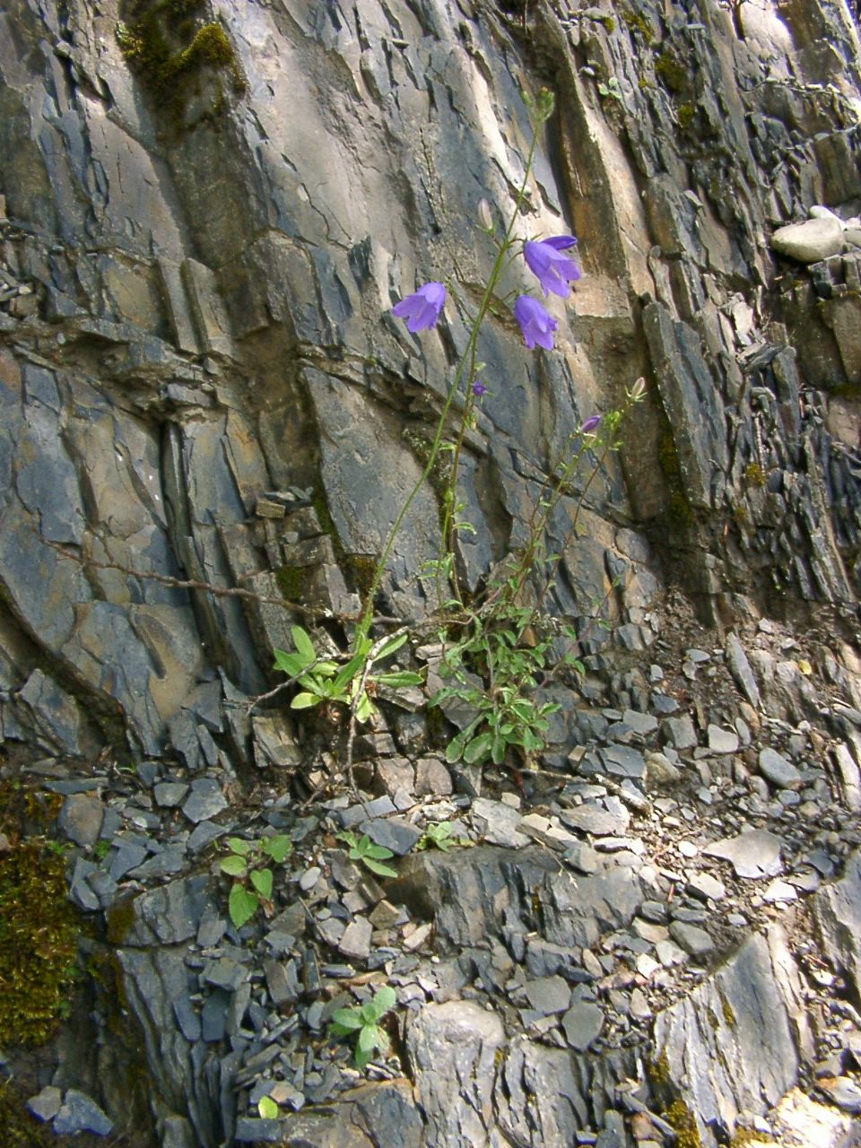 Татьяна Васильева | Воронеж