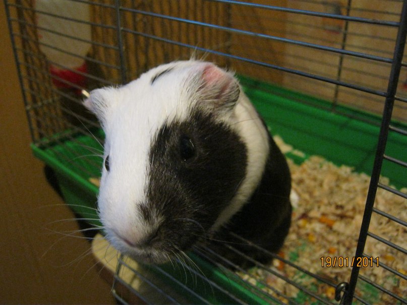 Оксана Гарибян | Рубежное