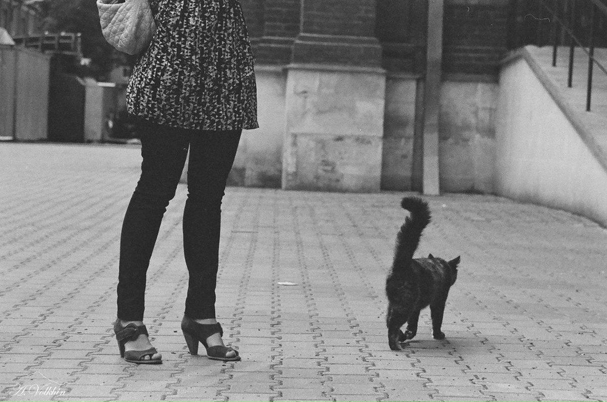 Вольхин Михайлович | 