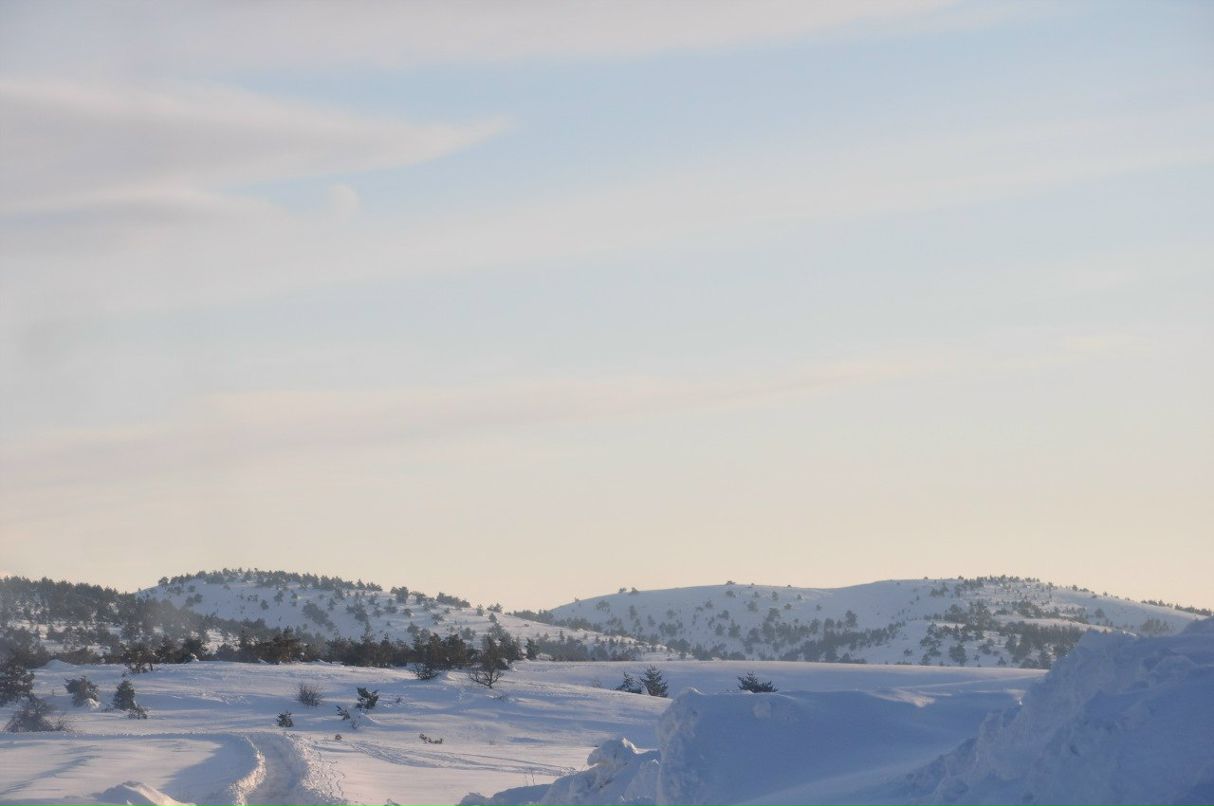 Александр Александров | Ялта