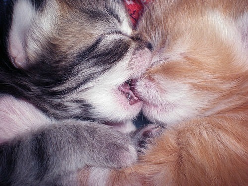 №23, Ирина Сальникова, 34 года, Киев №23, Ирина Сальникова, 34 года, Киев