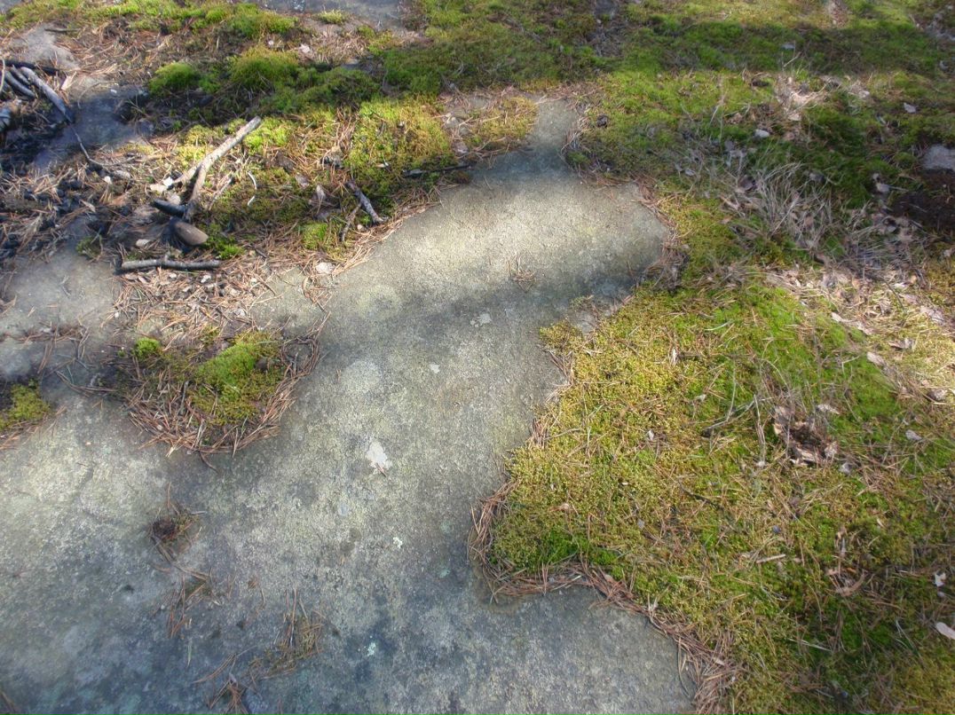 Борис Блаженний | Киев