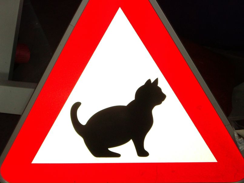 №90, Татьяна Лещук, 37 лет, Львов №90, Татьяна Лещук, 37 лет, Львов