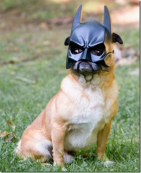 №80, Alexander Karmazin, Полтава №80, Alexander Karmazin, Полтава