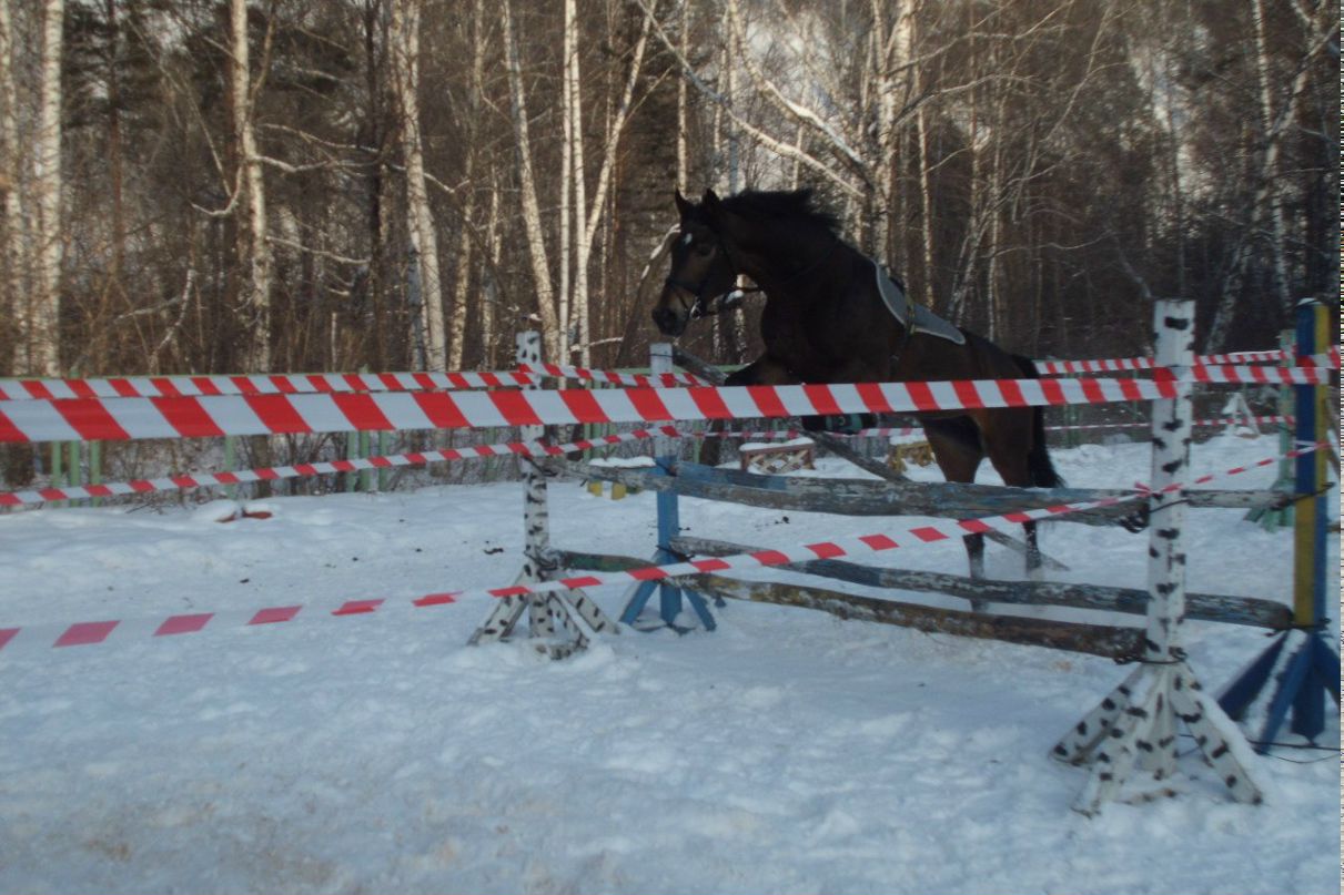 Николай Зыкин Сергеевич | Железногорск