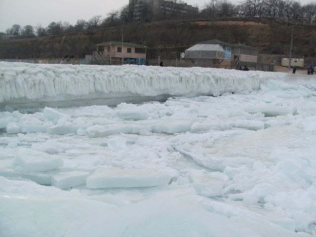 Елена Жидкова | 