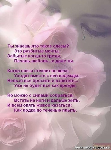 №186, Юлия Тинькова, Жуковский №186, Юлия Тинькова, Жуковский