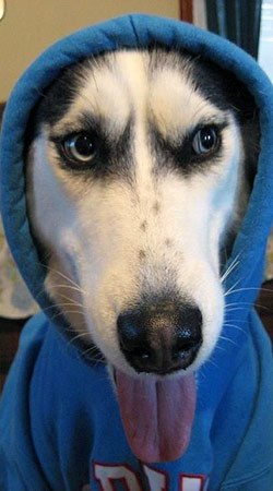 Дмитрий Быков | Архангельск