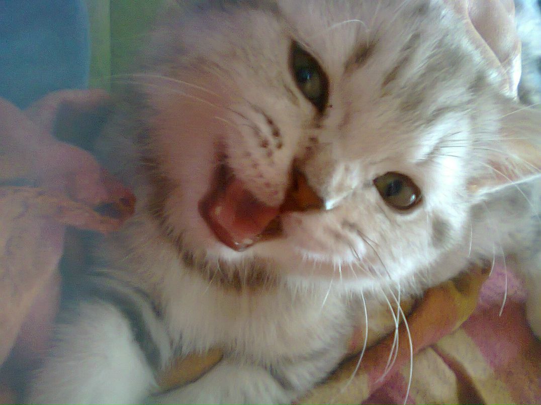 Аня Михайличенко | Москва