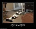 Сергей Буканов фотография #11 (источник - https://vk.com/id8543344)