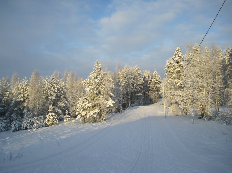 Дмитрий Фрумкин | Санкт-Петербург