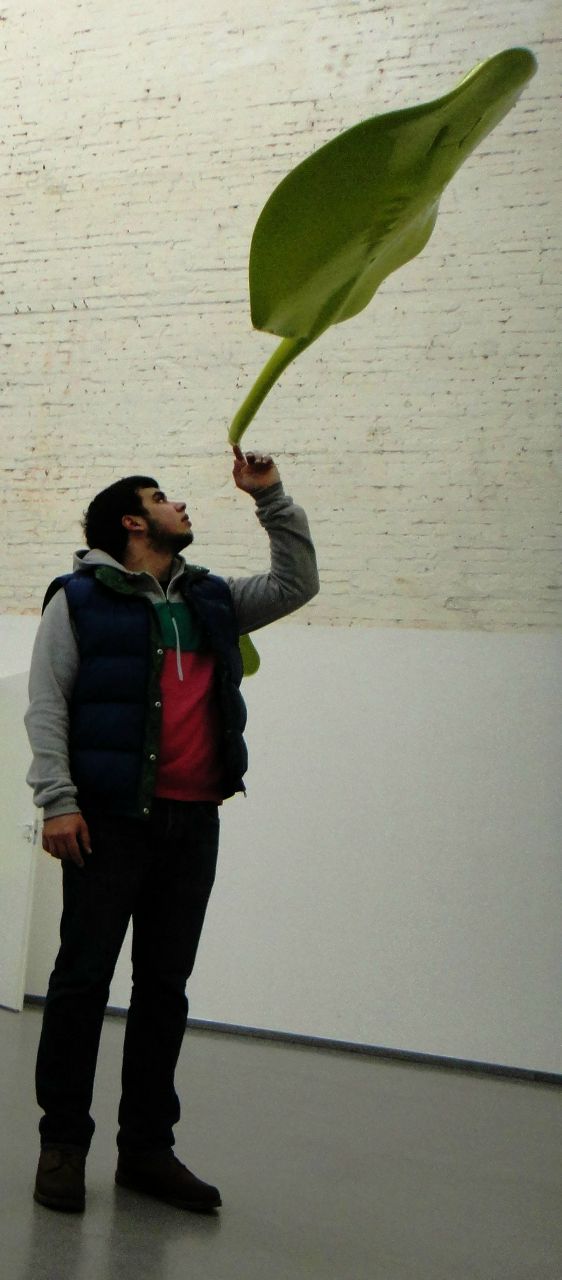 Дмитрий Акутин | Мытищи