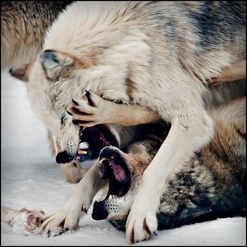 №69, Алер Денисов, 35 лет, Москва №69, Алер Денисов, 35 лет, Москва